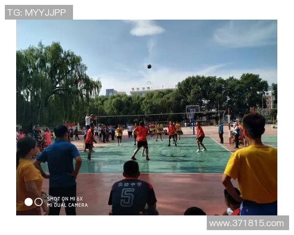 上海排球队最新排球意识排名第一引领潮流TOP10分析 上海排球队最新排球意识排名第一引领潮流TOP10分析