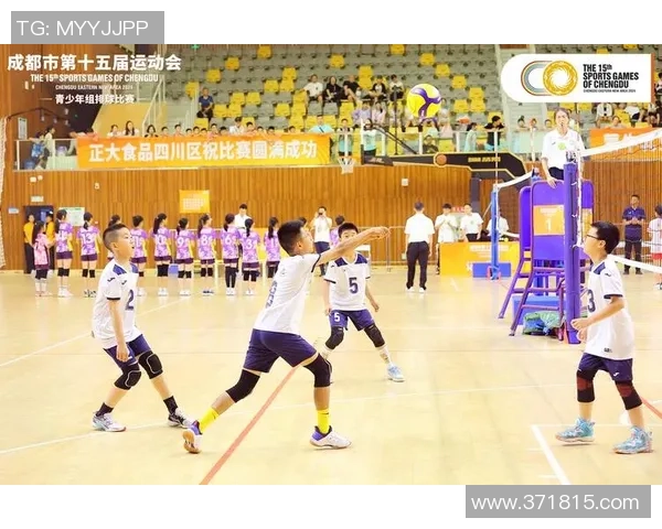 成都排球队个人能力分析与发展策略探讨 成都排球队个人能力分析与发展策略探讨